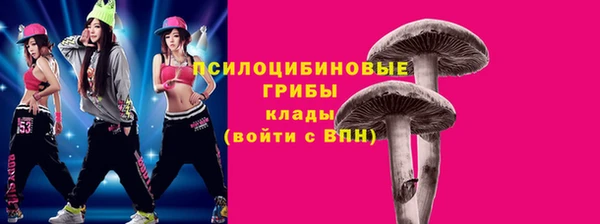 спайс Нея