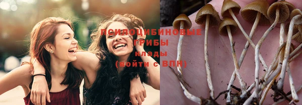 спайс Нея