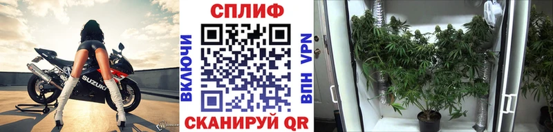 МАРИХУАНА Bruce Banner mega онион Юрга
